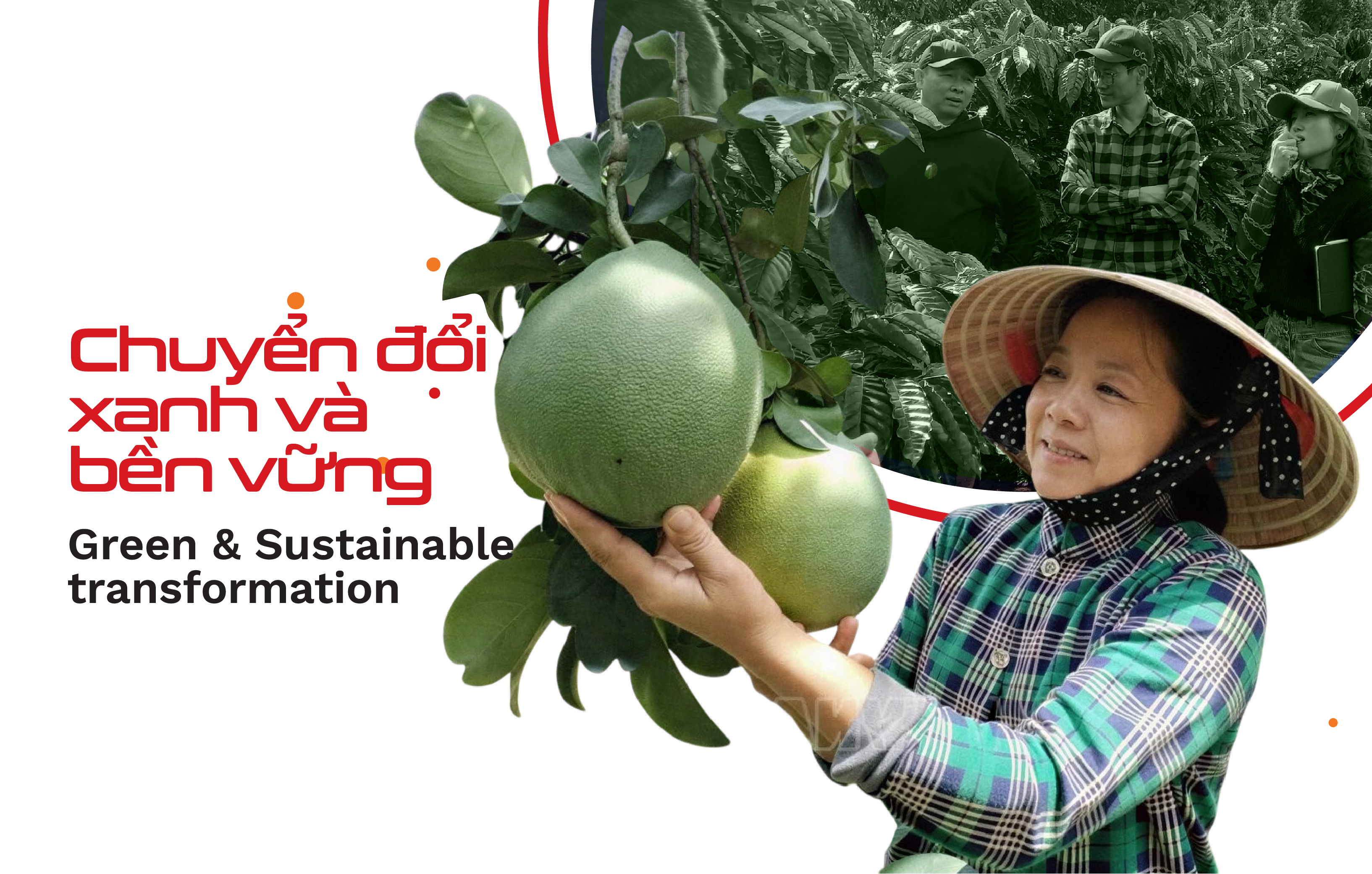 Chuyển đổi xanh và bền vững