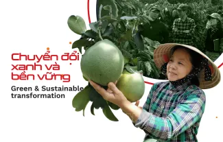 Chuyển đổi xanh và bền vững