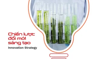 Chiến lược đổi mới sáng tạo